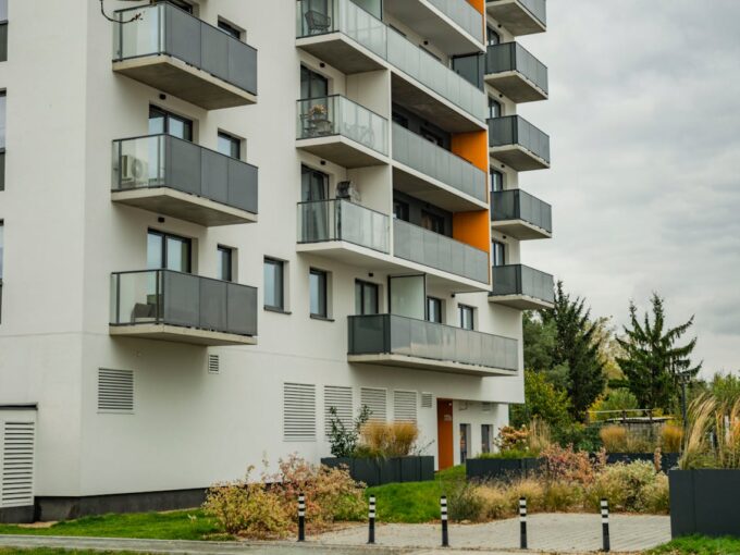 pexels-shox-29174529