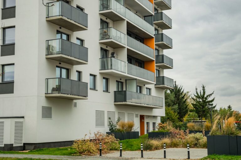 pexels-shox-29174529