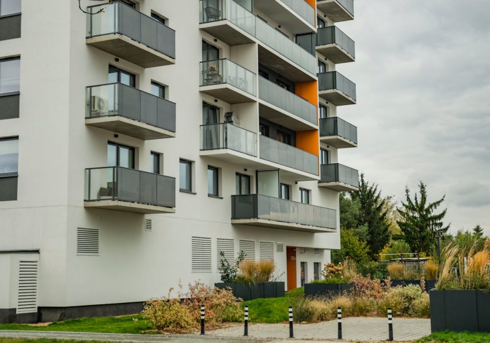 pexels-shox-29174529